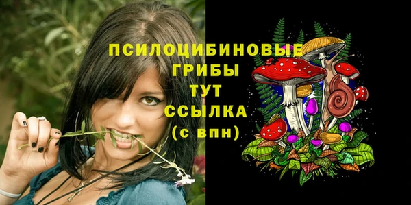 молекула духа Аркадак