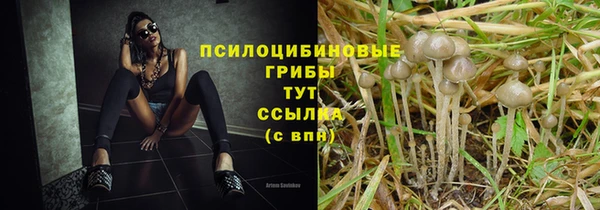 гашиш Арсеньев