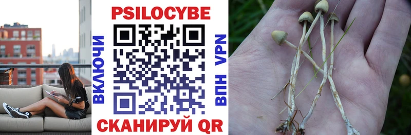 Купить где  Бобров  Галлюциногенные грибы прущие грибы 